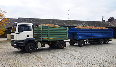 Lohnarbeiten, Transport Holzarbeiten - Sailer-Rohrwild GbR, Regensburg, Obertraubling